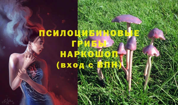 apvp Абаза