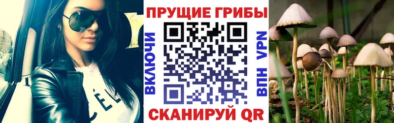 Псилоцибиновые грибы ЛСД  Тула 